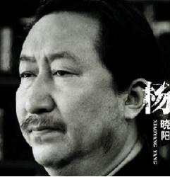 杨晓阳